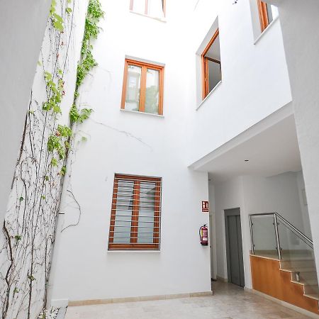 Apartmán Renthas Vid Loft Màlaga Exteriér fotografie